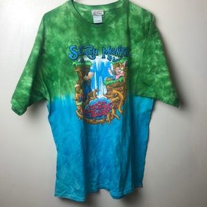 Splash Mountain promo tee